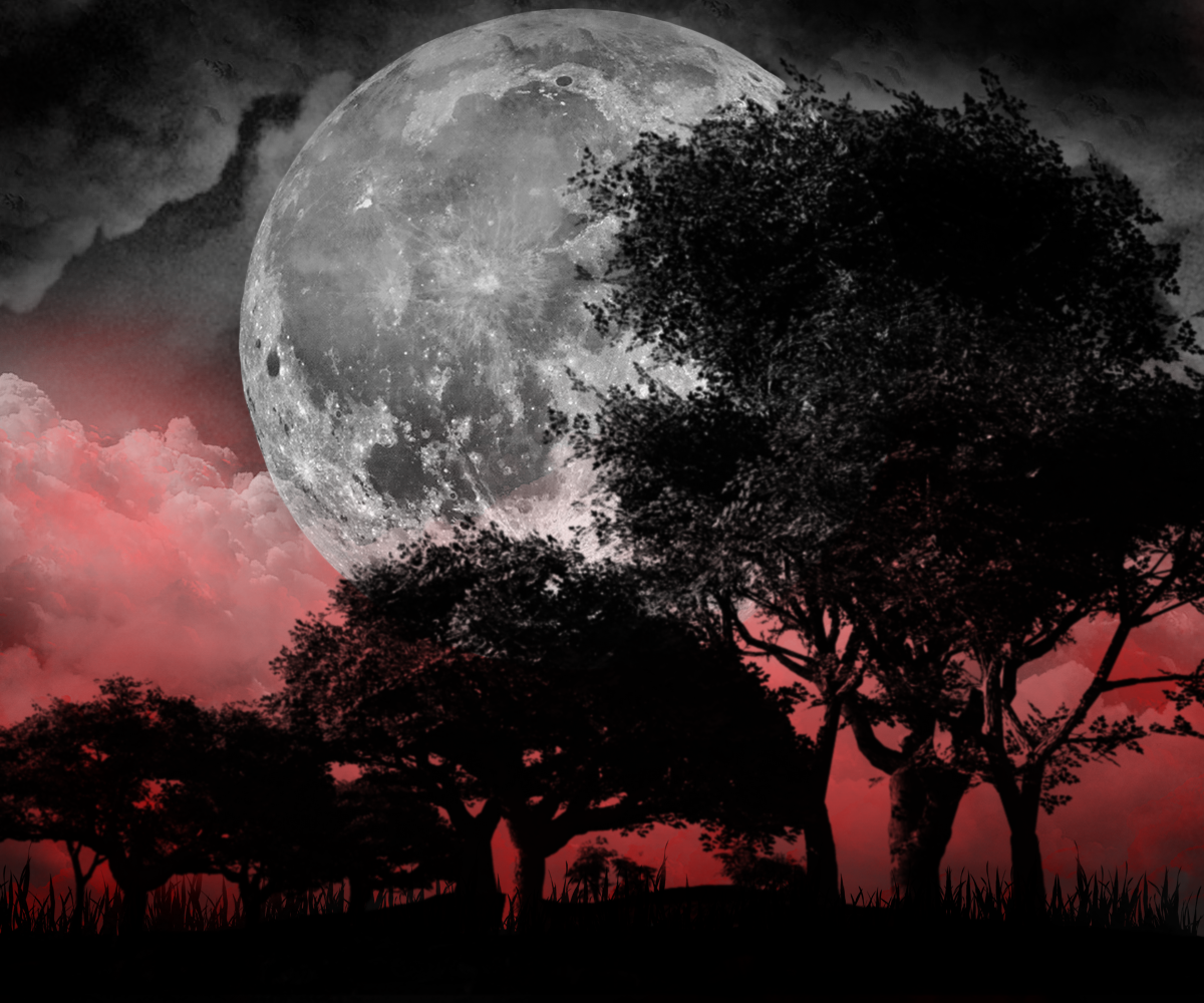 Blood_Moon_Landscape_by_Drace_Sylvanian