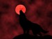 Blood_Moon_by_blastmaster3000
