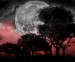 Blood_Moon_Landscape_by_Drace_Sylvanian